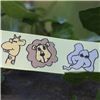 Order  Animal Cuties - Jungle/Yellow